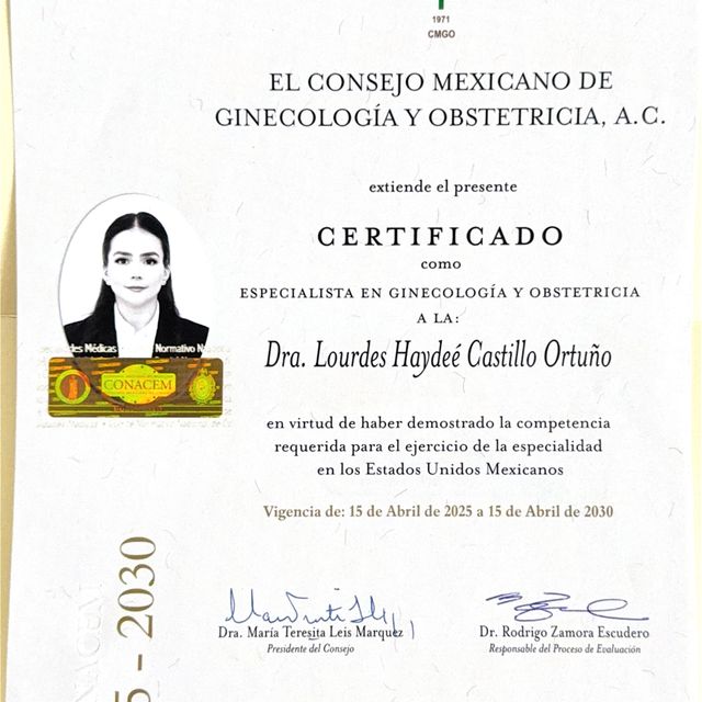 Ampliar imagen: certificate 1