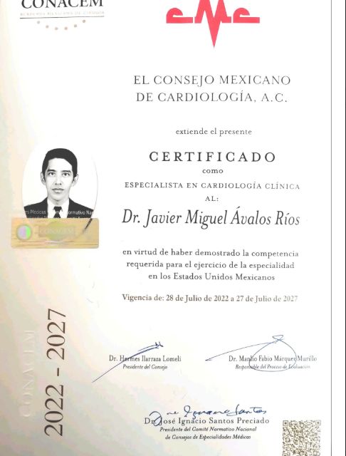 Ampliar imagen: certificate 2