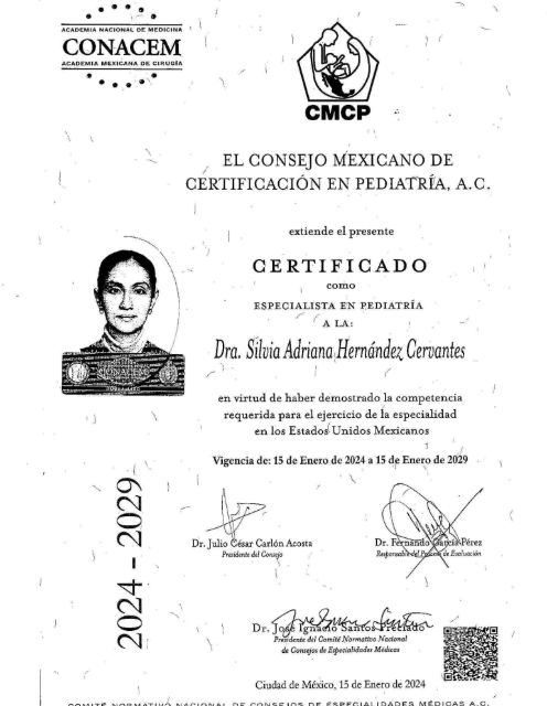 Ampliar imagen: certificate 4