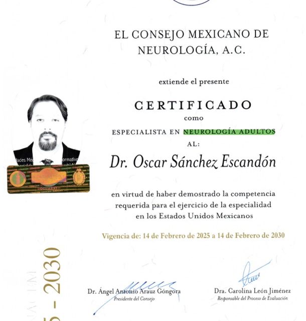 Ampliar imagen: certificate 5