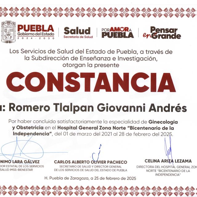 Ampliar imagen: certificate 4