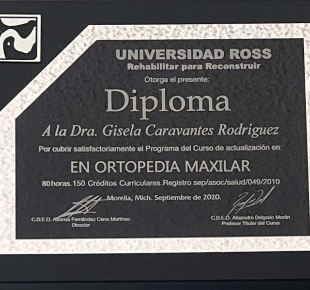 Ampliar imagen: certificate 4