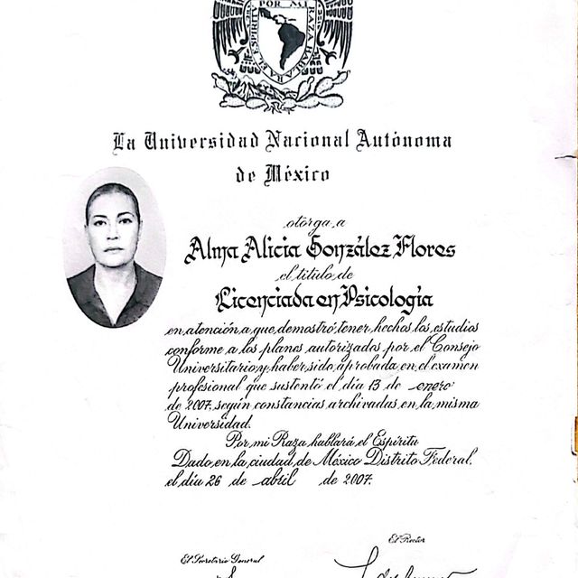 Ampliar imagen: certificate 42