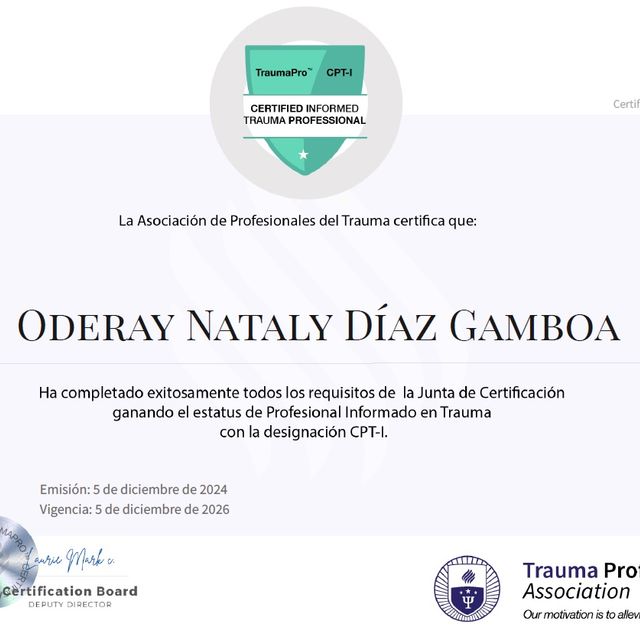 Ampliar imagen: certificate 5