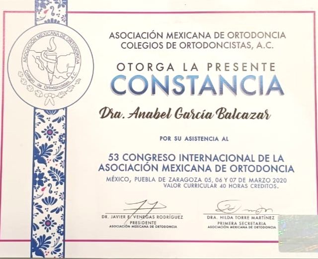 Ampliar imagen: certificate 10