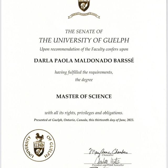 Ampliar imagen: certificate 4