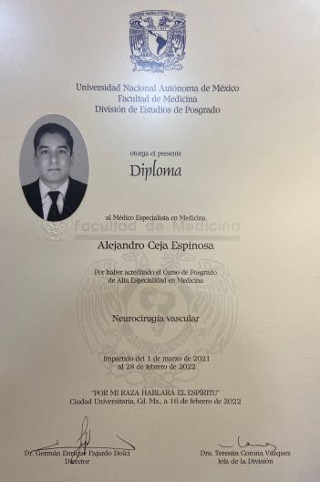 Ampliar imagen: certificate 2