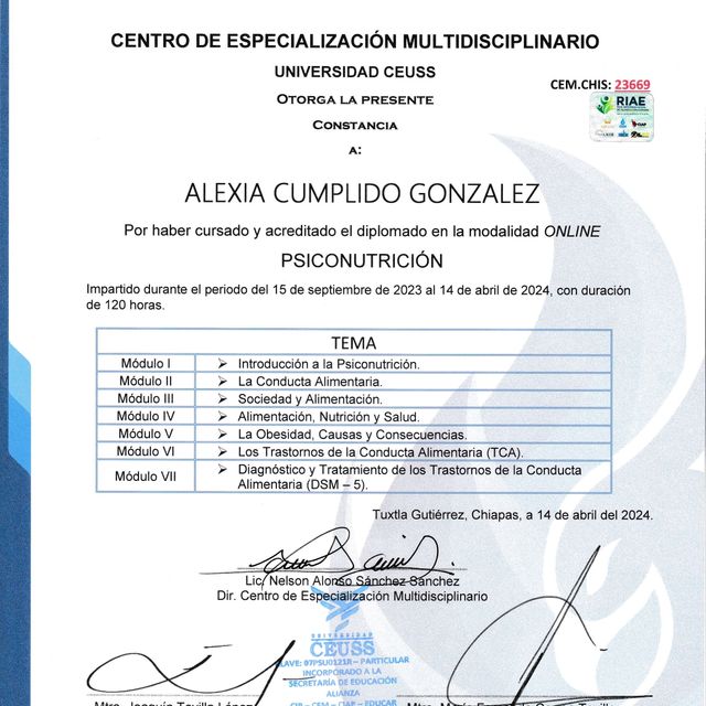 Ampliar imagen: certificate 4