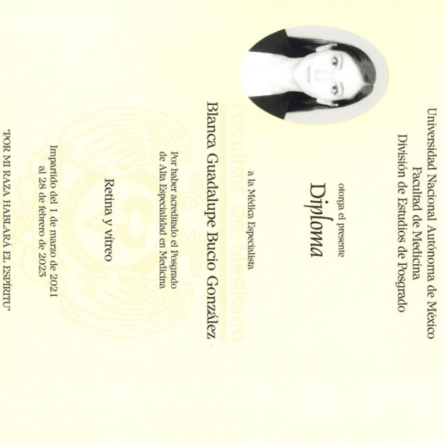 Ampliar imagen: certificate 3