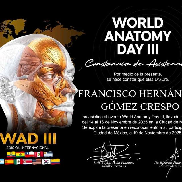 Ampliar imagen: certificate 51