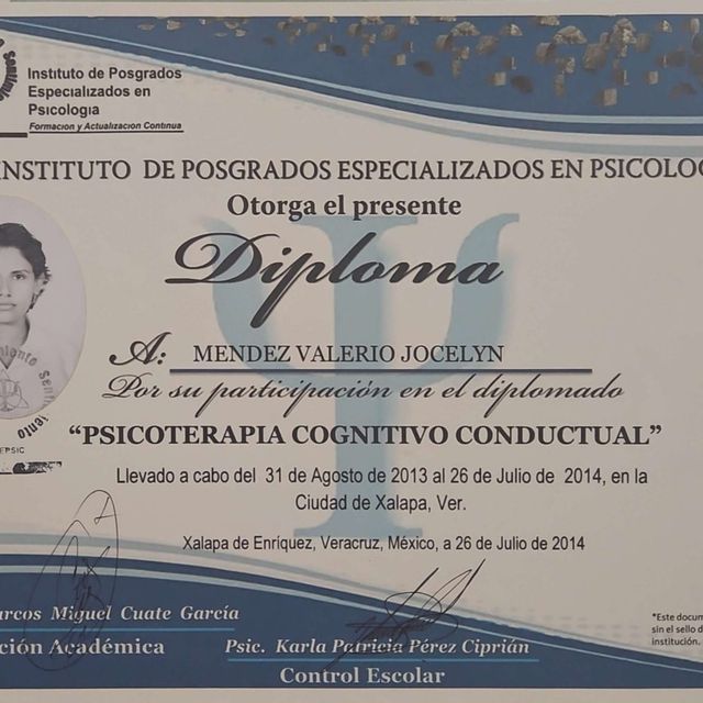 Ampliar imagen: certificate 8