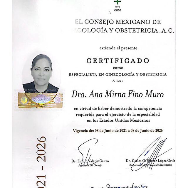 Ampliar imagen: certificate 3