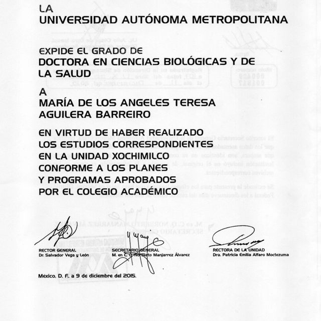 Ampliar imagen: certificate 3