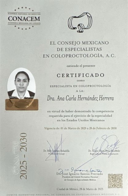 Ampliar imagen: certificate 4