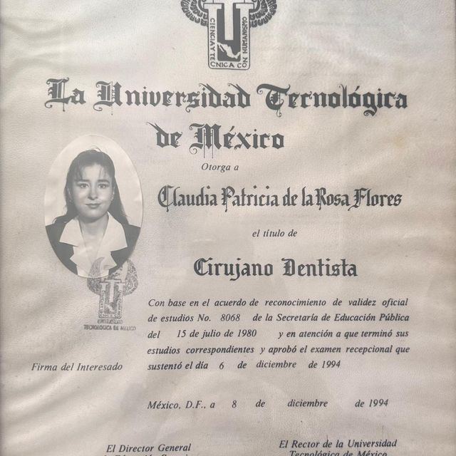 Ampliar imagen: certificate 3