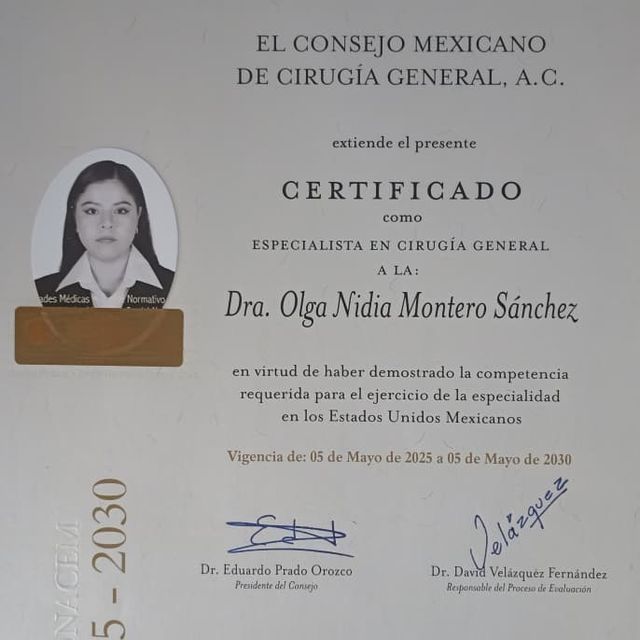 Ampliar imagen: certificate 3