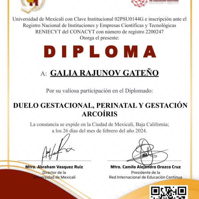Ampliar imagen: certificate 5
