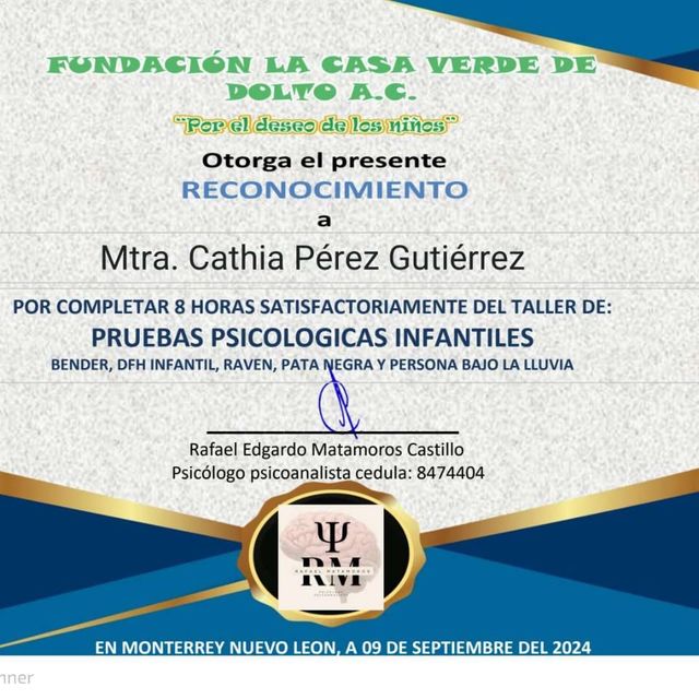 Ampliar imagen: certificate 9