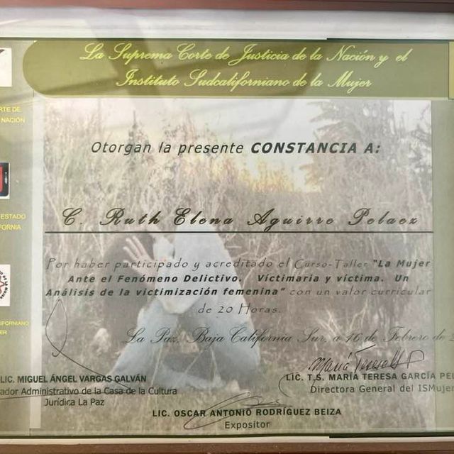 Ampliar imagen: certificate 6