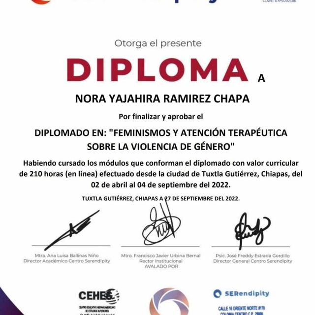 Ampliar imagen: certificate 3