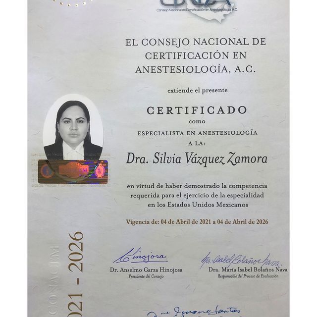 Ampliar imagen: certificate 5