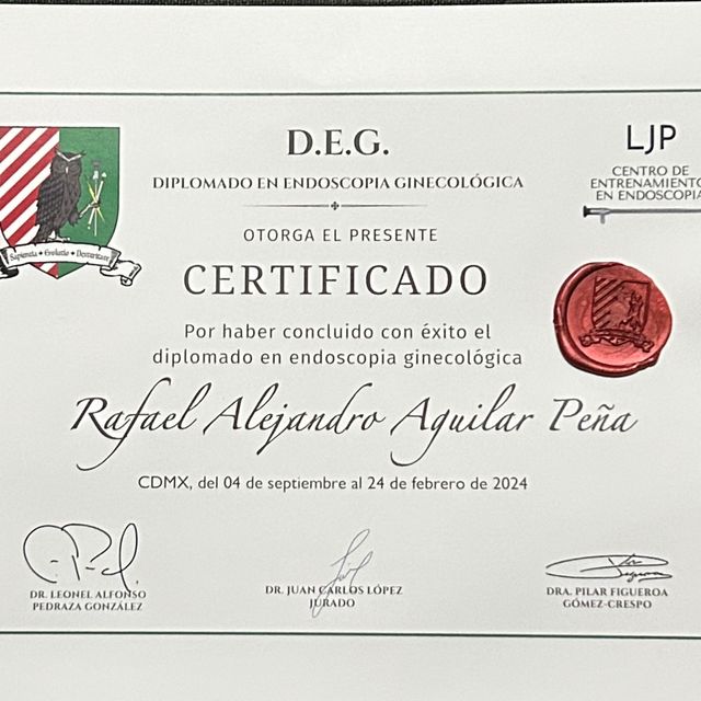 Ampliar imagen: certificate 2