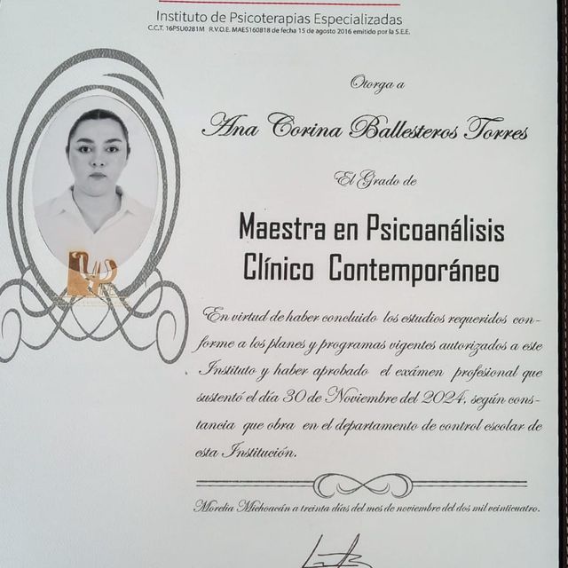 Ampliar imagen: certificate 2