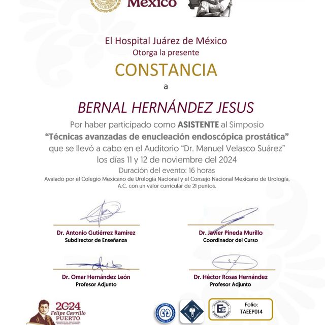 Ampliar imagen: certificate 7
