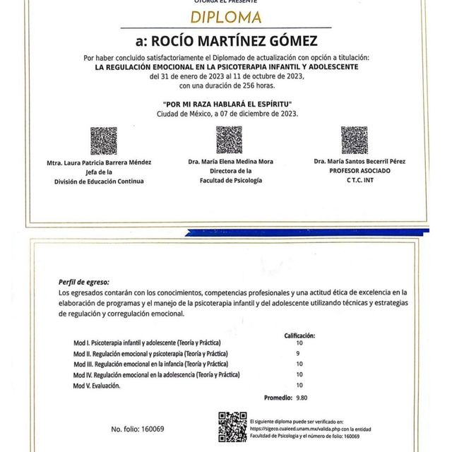Ampliar imagen: certificate 2