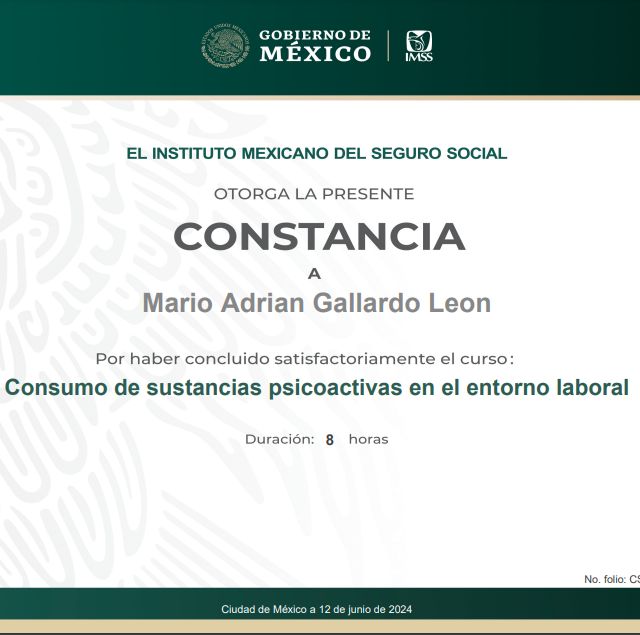 Ampliar imagen: certificate 2