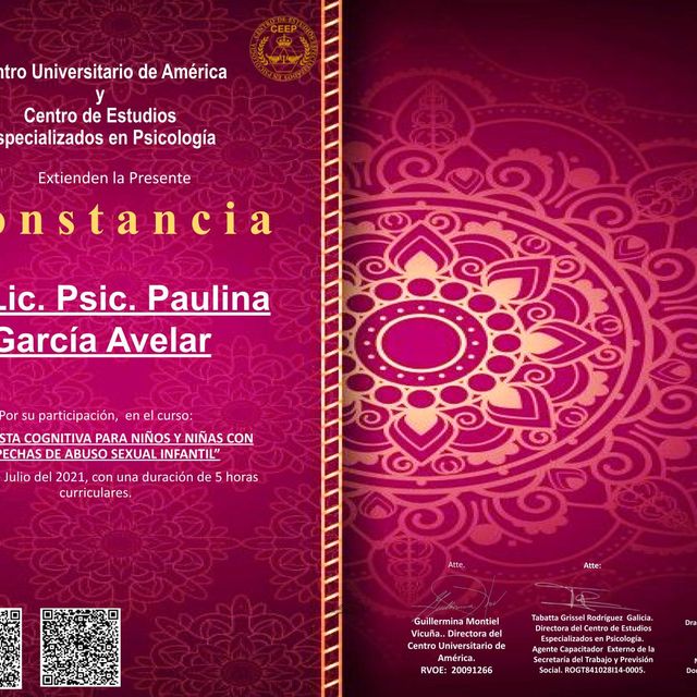 Ampliar imagen: certificate 22