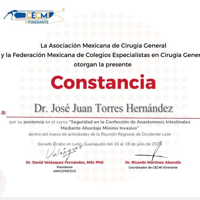 Ampliar imagen: certificate 5