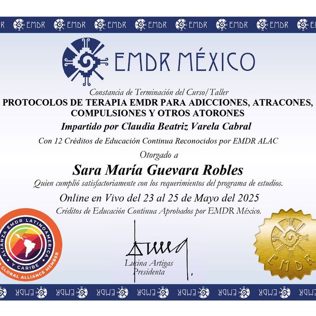 Ampliar imagen: certificate 1