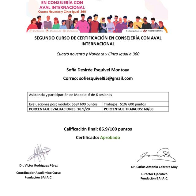 Ampliar imagen: certificate 7