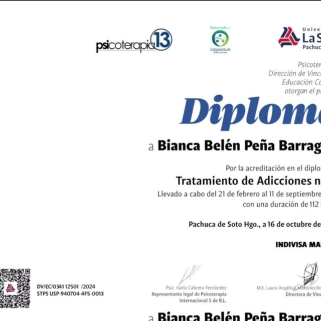 Ampliar imagen: certificate 18