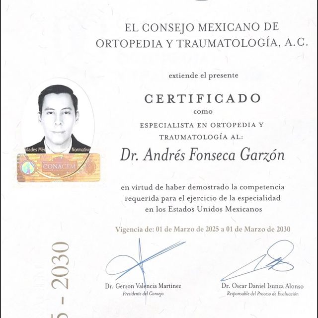 Ampliar imagen: certificate 3