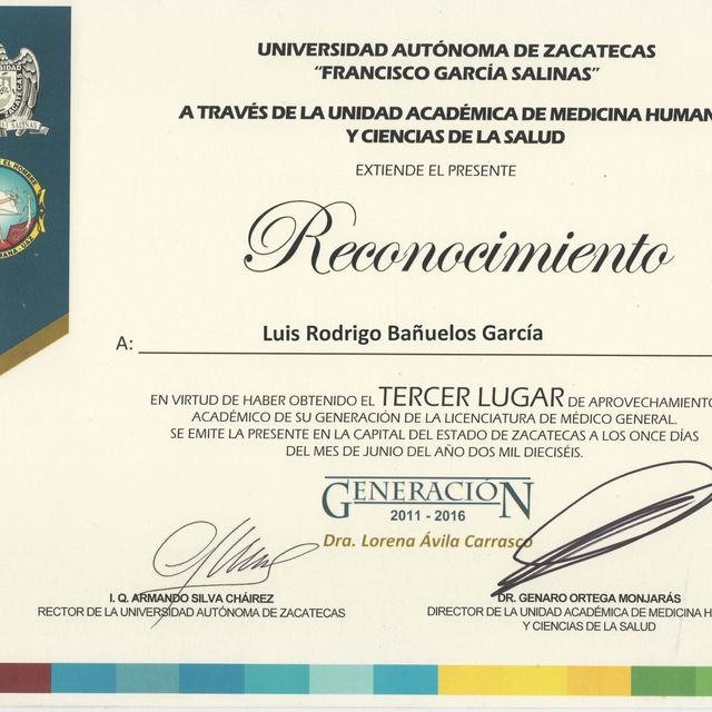 Ampliar imagen: certificate 6
