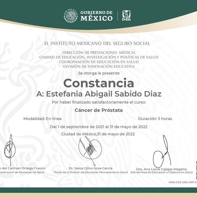Ampliar imagen: certificate 3