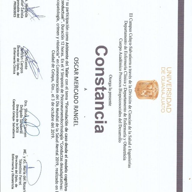 Ampliar imagen: certificate 4