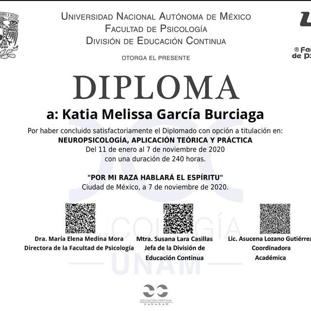 Ampliar imagen: certificate 1