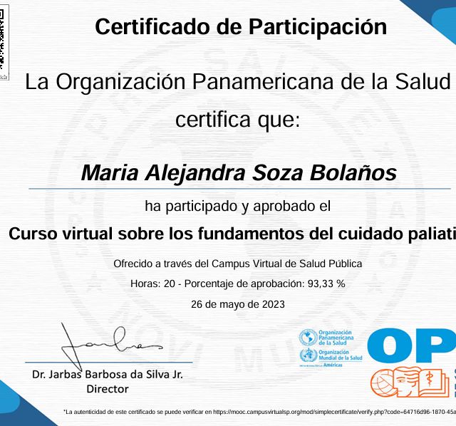 Ampliar imagen: certificate 5