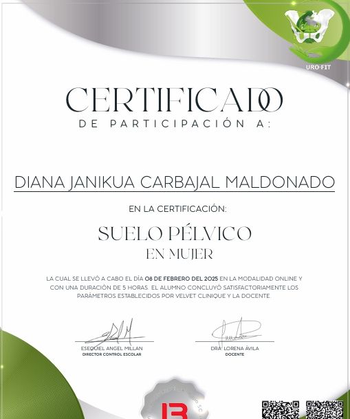 Ampliar imagen: certificate 1