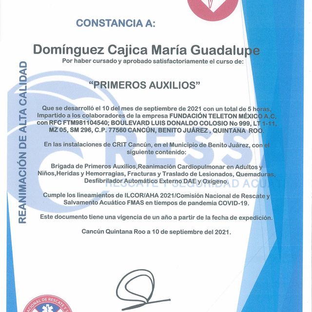 Ampliar imagen: certificate 4