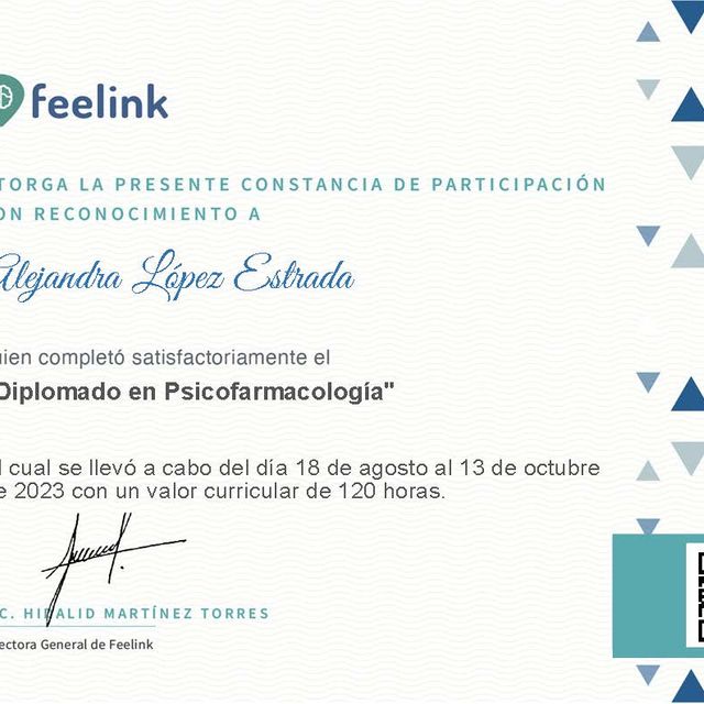 Ampliar imagen: certificate 7