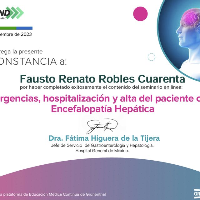 Ampliar imagen: certificate 25