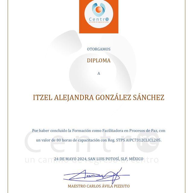 Ampliar imagen: certificate 3