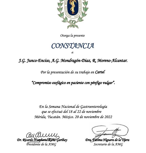 Ampliar imagen: certificate 3