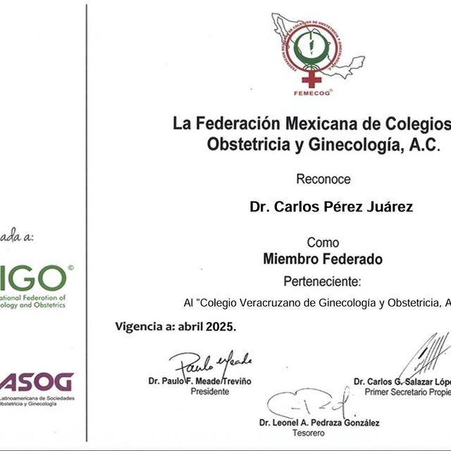 Ampliar imagen: certificate 4