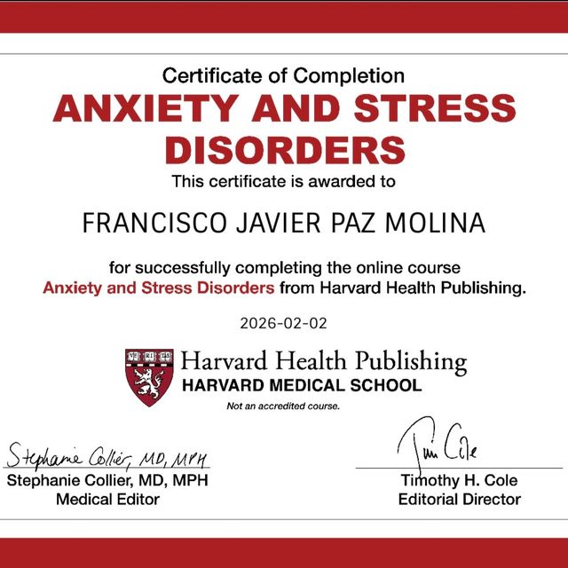 Ampliar imagen: certificate 4