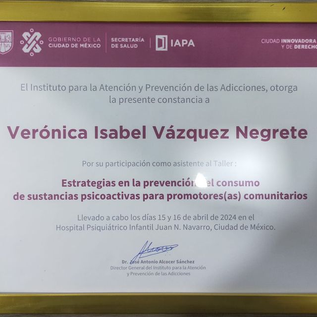 Ampliar imagen: certificate 15